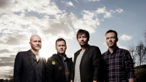 Image of THE PINEAPPLE THIEF